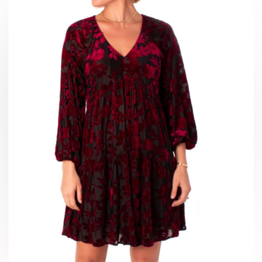 NWT Taylor Women’s Dress V-Neck Velvet Burnout Red Dress Size 10 more like SZ M